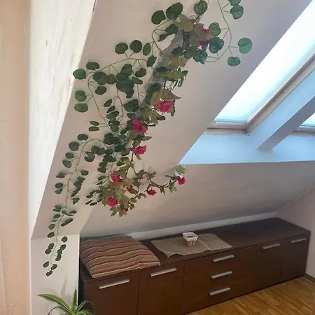 Lider Pop Hariton Apartment *